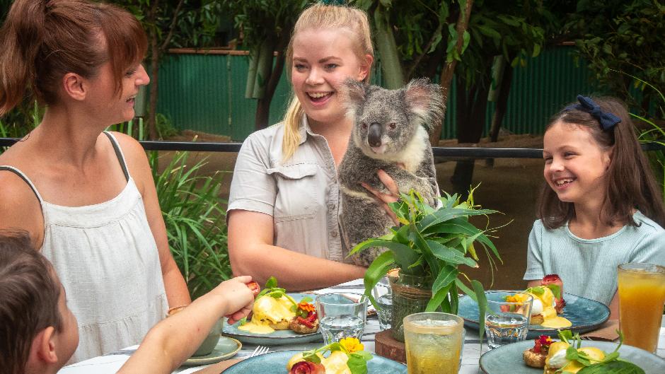 Get along to the iconic Currumbin Wildlife Sanctuary on the Gold Coast. Home to some of Australia’s most iconic animals, as well as a few exotic friends as well...