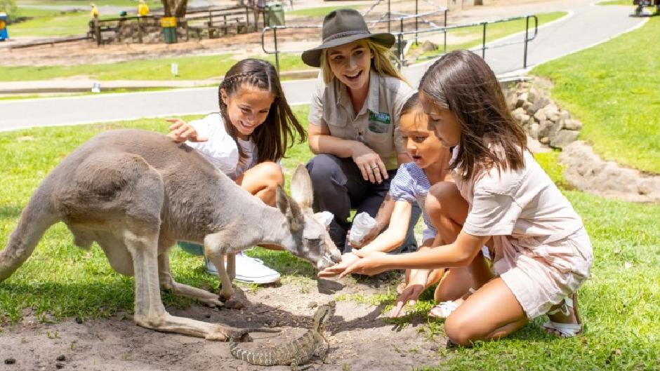 Get along to the iconic Currumbin Wildlife Sanctuary on the Gold Coast. Home to some of Australia’s most iconic animals, as well as a few exotic friends as well...