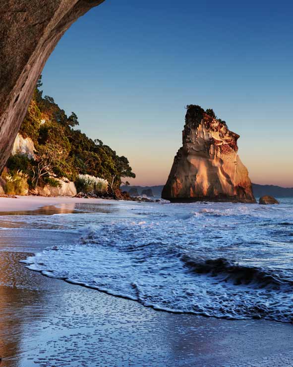 Experience the best of Coromandel Peninsula - Great Barrier Island - book online and save with epic deals and last minute discounts.